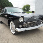 Safro Cars 1956 Ford Thunderbird